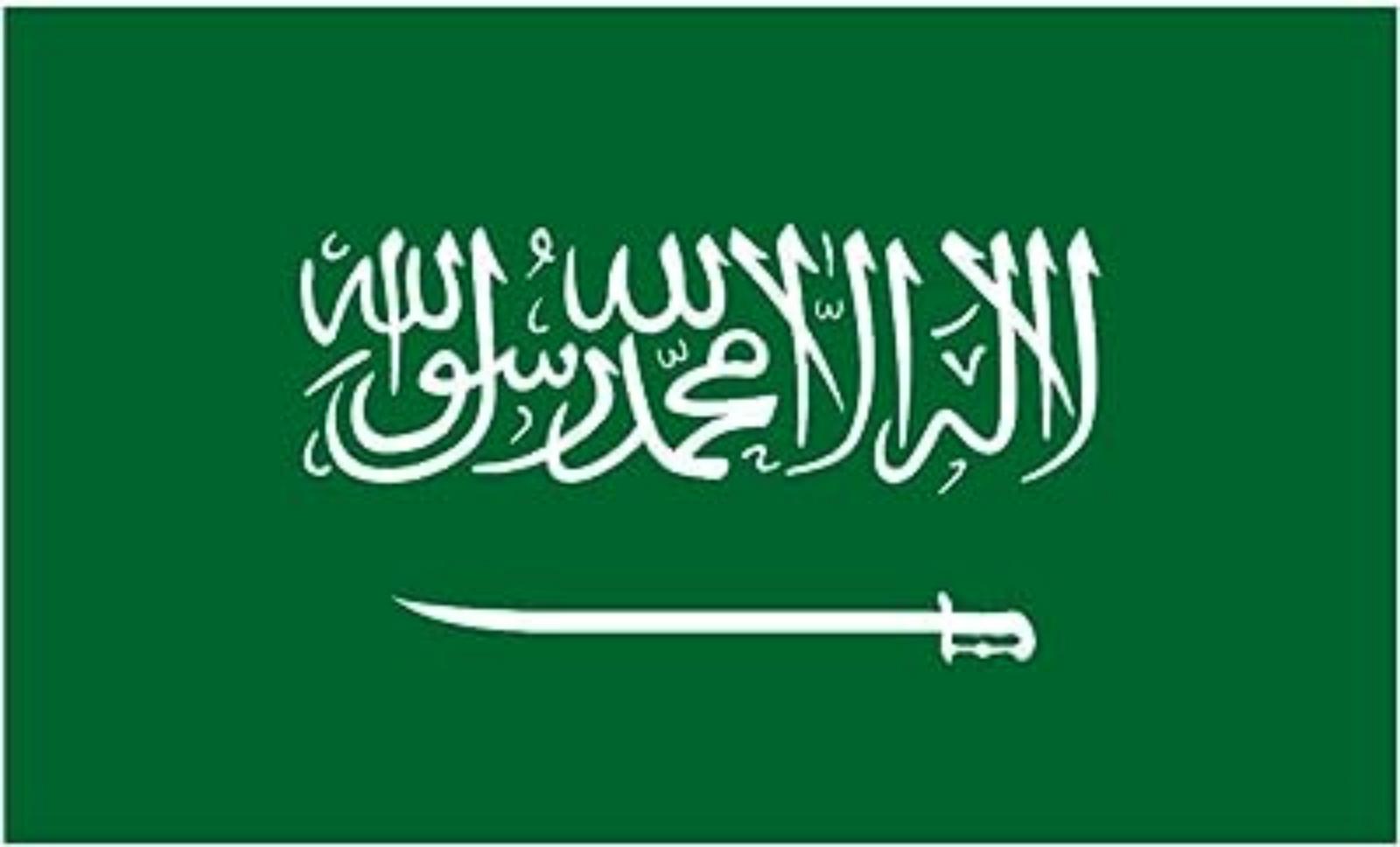 沙特旅游电子签